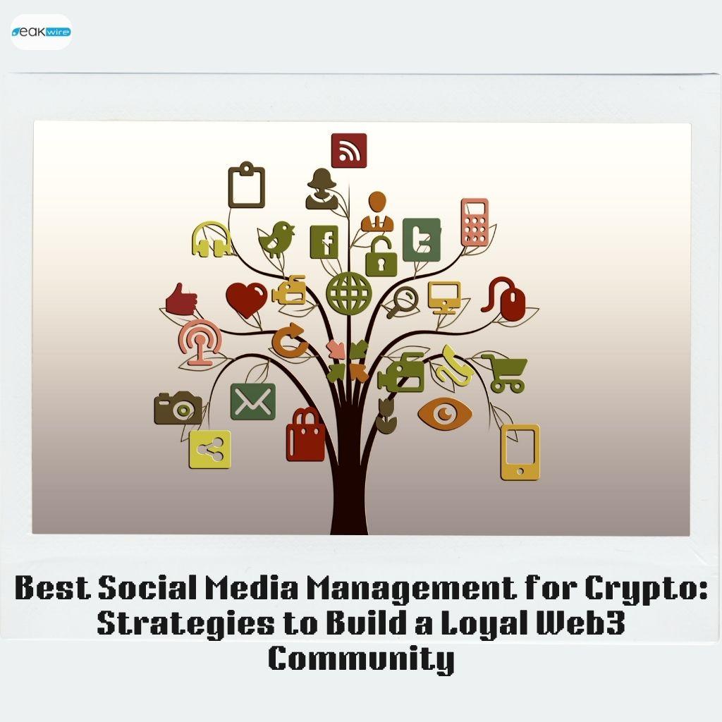 Best Social Media Management for Crypto